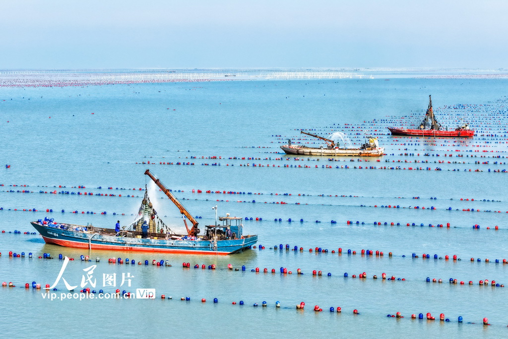 “海洋牧场”春潮涌动