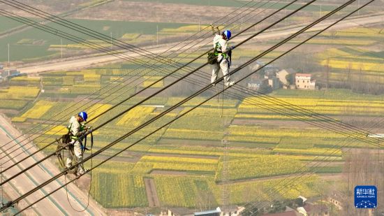 3月10日，在安徽省铜陵市枞阳县长江边，安徽送变电工程有限公司检修人员在300多米高空进行检修作业（无人机照片）。     新华社记者 周牧 摄